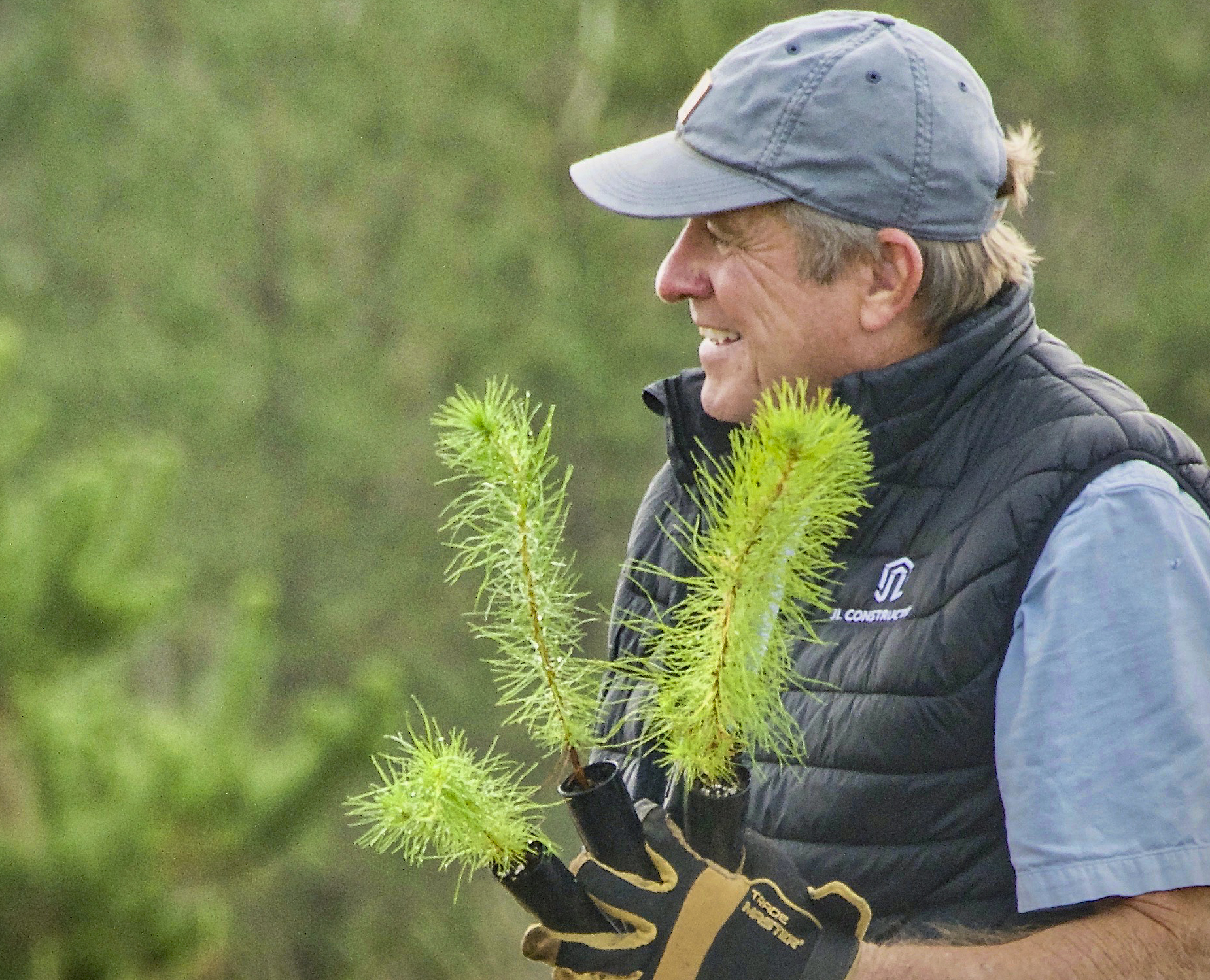 man holding pine seedlings